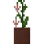 Potted Peach Leather Flower icon