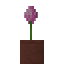 Potted Pink Allium icon