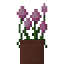 Potted Pink Allium Flower Bush icon