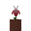 Potted Pink Daffodil icon