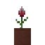 Potted Protea Flower icon