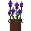 Potted Purple Amaranth icon