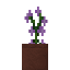 Potted Purple Sage icon
