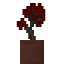 Potted Red Maple Sapling icon
