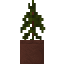 Potted Redwood Sapling icon