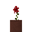 Potted Rose icon