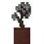 Potted Silver Maple Sapling icon