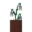 Potted Snowdrops icon
