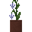 Potted Violet Leather Flower icon