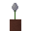 Potted White Allium icon