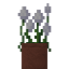 Potted White Allium Flower Bush icon