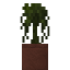 Potted Willow Sapling icon