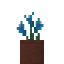 Potted Winter Cyclamen icon