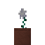 Potted Winter Rose icon