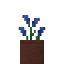 Potted Winter Scilla icon