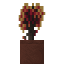 Potted Witch Hazel Sapling icon