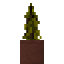 Potted Yellow Spruce Sapling icon