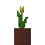 Potted Yellow Tulip icon