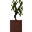 Potted Yucca Sapling icon