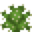 Prickly Pear Cactus icon
