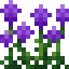 Purple Amaranth icon