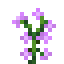 Purple Sage icon
