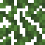 Rainbow Eucalyptus Leaves icon