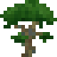 Rainbow Eucalyptus Sapling icon