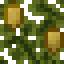 Ripe Baobab Leaves icon
