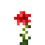 Rose icon