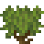 Shrub icon