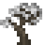 Silver Maple Sapling icon
