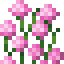 Tall Pink Allium icon