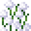 Tall White Allium icon