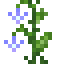 Violet Leather Flower icon