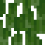 White Mangrove Leaves icon