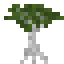 White Mangrove Sapling icon