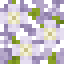White Sakura Leaves icon