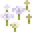 White Sakura Petals icon