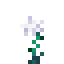 Winter Rose icon