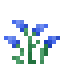 Winter Scilla icon