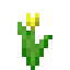 Yellow Tulip icon