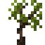 Yucca Sapling icon