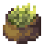 Dried Barley icon