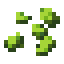 Hops Seeds icon