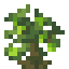 Wild Hops icon