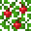 Apple Acacia Leaves icon