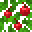 Apple Jungle Leaves icon