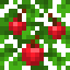 Apple Oak Leaves icon