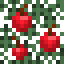 Apple Spruce Leaves icon